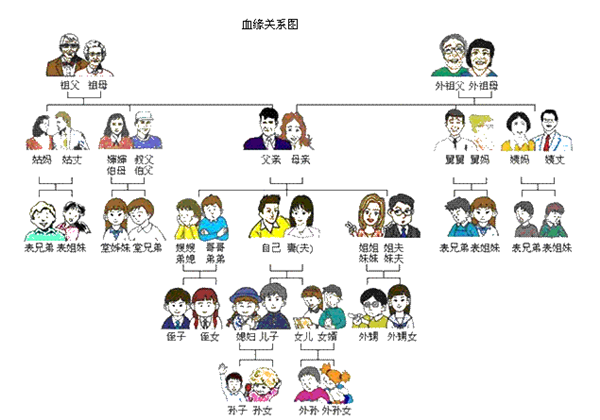 血缘关系图