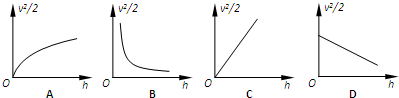 91