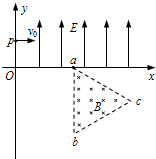 91