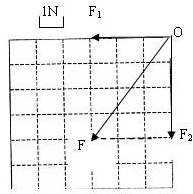 91