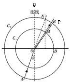 91
