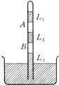 91