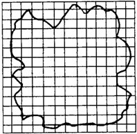 91