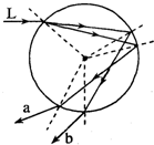 91