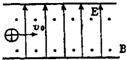 91