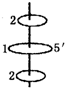 91