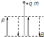 91
