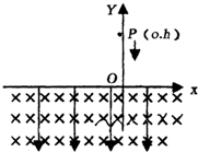 91