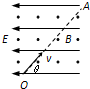 91