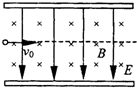 91