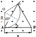 91