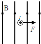 91