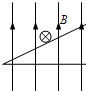 91