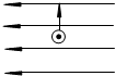 91