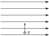 91