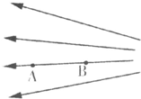 91