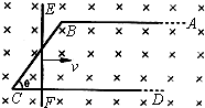 91