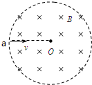 91