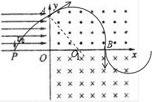 91