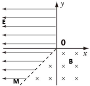 91������