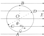 91