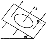91