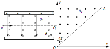 91