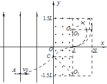 91
