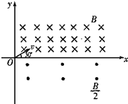91
