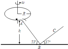 91