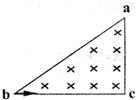 91