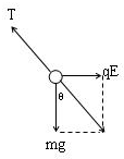 91