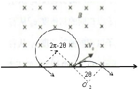 91