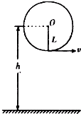 91