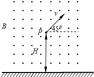 91