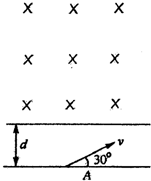 91