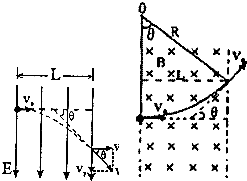 91