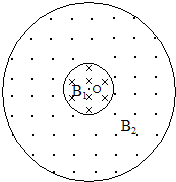 91