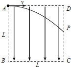91