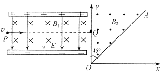 91������