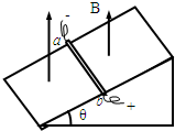 91
