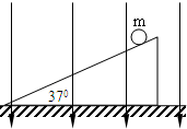 91