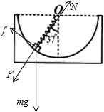 91
