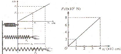 91
