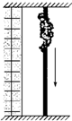 91