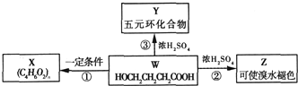 91考试网