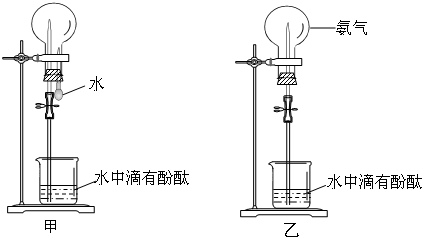 91考试网