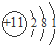 91