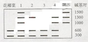 ߿Դ(ks5u.com),йĸ߿վ,ߵĸ߿רҡ