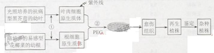 ߿Դ(ks5u.com),йĸ߿վ,ߵĸ߿רҡ